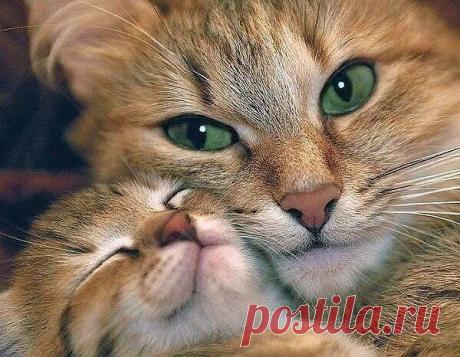 Популярные записи по теме «мысли»