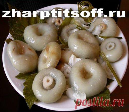 Фарш из соленых груздей