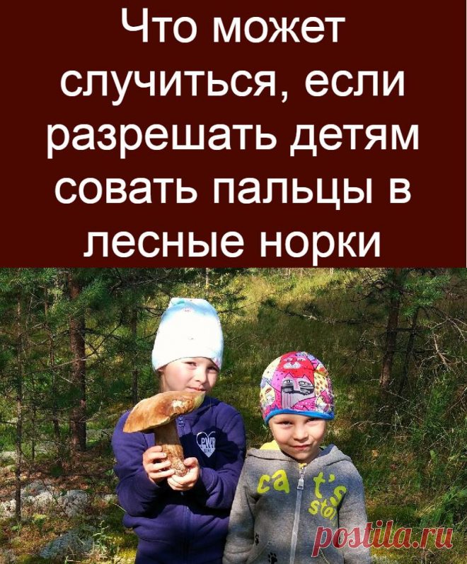 Что может случиться, если разрешать детям совать пальцы в лесные норки