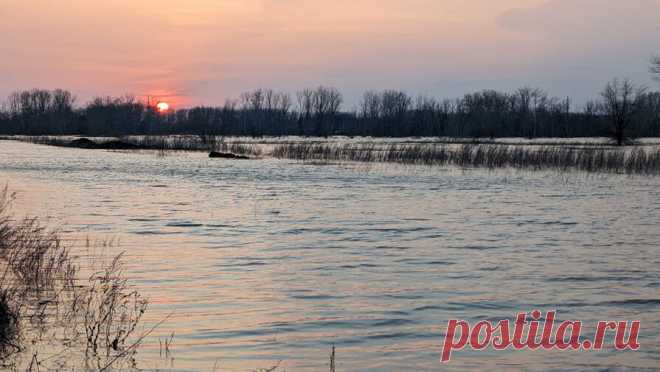 В Оренбурге заработал Ново-Сакмарский водозабор. В Оренбурге возобновили работу Ново-Сакмарского водозабора, где из-за подтопления трансформаторных подстанций прекращалась подача воды в жилые дома. Об этом сообщили ТАСС в пресс-службе предприятия "Росводоканал ...