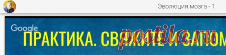 Эволюция мозга - 1