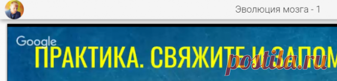 Эволюция мозга - 1