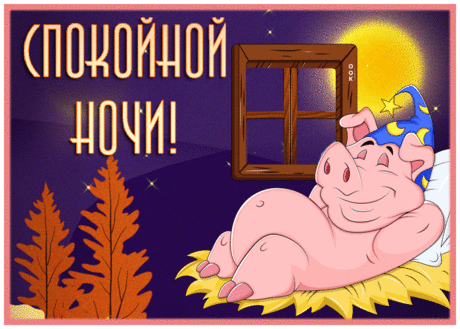 Забавная открытка спокойной ночи со свинкой