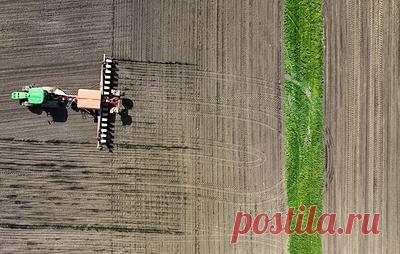 Кабмин выделит более 60 млрд рублей на субсидии по кредитам для АПК. Решение позволит поддержать не менее 48 тыс. ранее выданных займов