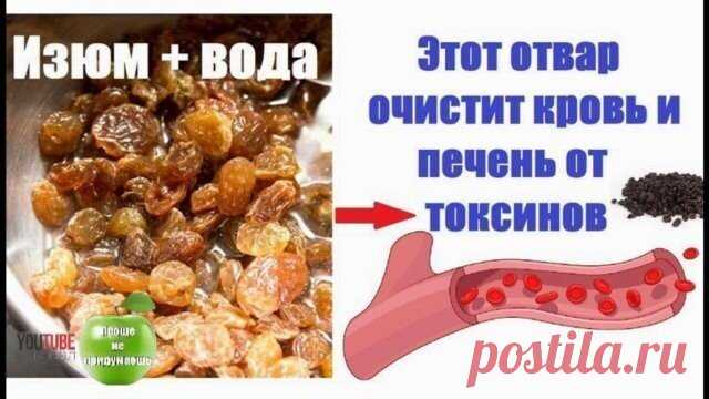Чистим кровь и печень от токсинов. Отвар из изюма - исчезнут проблемы с пищеварением. Худеем.
     
Отвар из изюма. Готовить чудодейственный отвар нужно с вечера! 
Ингредиенты: 
 2 ст. воды 
 150 г изюма 
Приготовление: 
Продолжение >>> https://youtu.be/4sFa_niMGSY