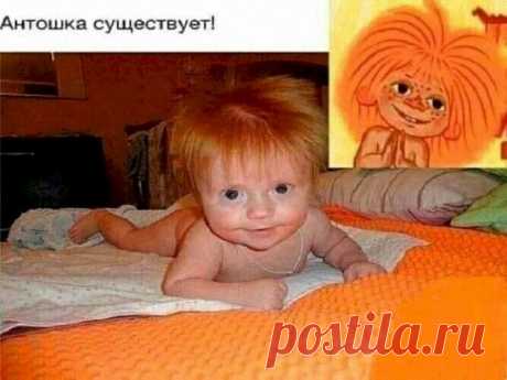 Выпуск №3406 - выпуск анекдотов сайта вокруг смеха