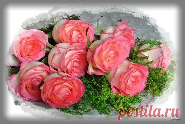 Мой Мир@Mail.Ru