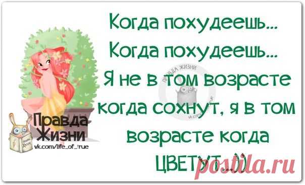 Чем ближе выходные, тем добрее утро