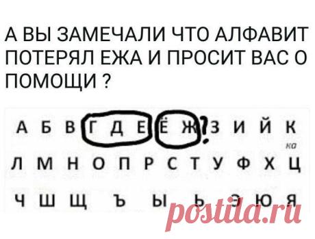 Бот Мои Гости
