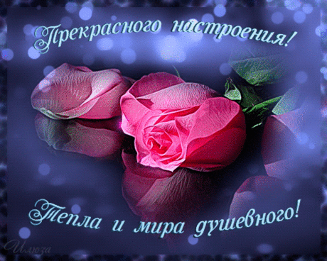 Прекрасного настроения картинка - Пожелания настроение в картинках - Анимационные блестящие картинки GIF