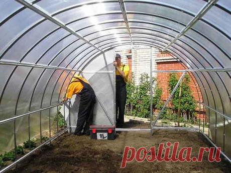 Теплица «GreenBox»: особенности конструкции, виды, достоинства и недостатки, технические характеристики, правила установки, отзывы потребителей, видео