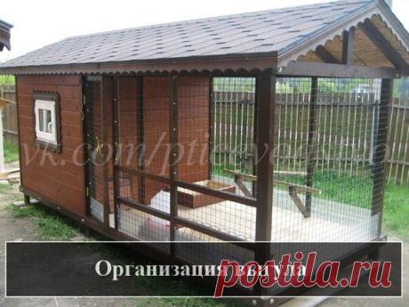 Птицеводство