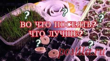 Крепкая Рассада. Во Что Посеять? Что Лучше?
https://www.youtube.com/watch?v=_-DDhSlAQjQ&list=PLqCZWqsWs4QKhSFl6ctS6PYdMdggRb8Lc
Рассада: рассада перца, рассада томатов, рассада баклажан, рассада петунии, рассада капусты, рассада огурцов, рассада в улитках, рассада в стаканчиках, рассада в ящиках, рассада в таблетках. Можно использовать всевозможные емкости для рассады. Но во что же лучше посеять семена на рассаду? Попробуем разобраться. 
Рассада в улитках - это способ посадки рассады ,который д