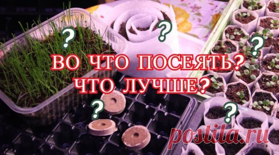 Крепкая Рассада. Во Что Посеять? Что Лучше?
https://www.youtube.com/watch?v=_-DDhSlAQjQ&list=PLqCZWqsWs4QKhSFl6ctS6PYdMdggRb8Lc
Рассада: рассада перца, рассада томатов, рассада баклажан, рассада петунии, рассада капусты, рассада огурцов, рассада в улитках, рассада в стаканчиках, рассада в ящиках, рассада в таблетках. Можно использовать всевозможные емкости для рассады. Но во что же лучше посеять семена на рассаду? Попробуем разобраться. 
Рассада в улитках - это способ посадки рассады ,который д