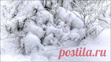 Лыжня .Фотопрогулка по зимнему лесу