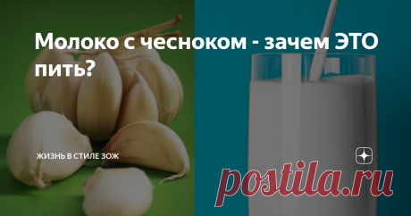 Молоко с чесноком - зачем ЭТО пить? Против астмы, пневмонии, артрита, сердечных болезней. Звучит как чудо какое-то... Давайте разбираться, правда ли молоко с чесноком имеет такое количество полезных свойств.