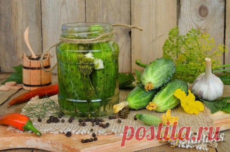 Малосольные огурцы за сутки