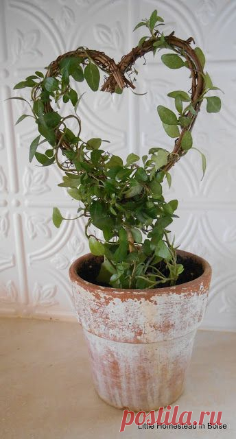 Little Homestead In Boise cake heart = ivy topiary