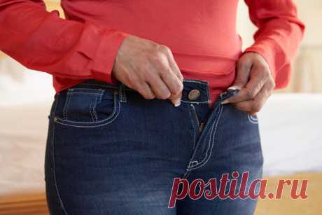 Модные брюки для полных женщин — выкройки и фото от Домашнего Очага