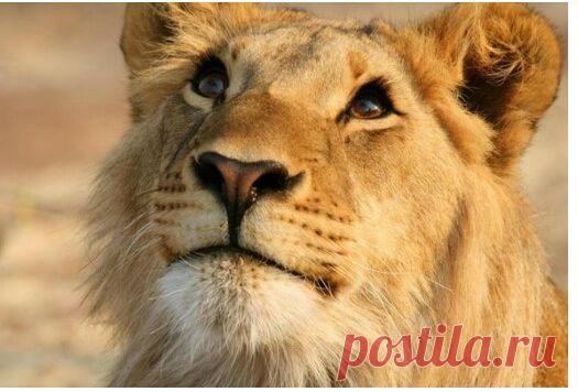 Василий Тимошин vasiliy-timoshin - Москва, Россия, 61 год на Мой Мир@Mail.ru