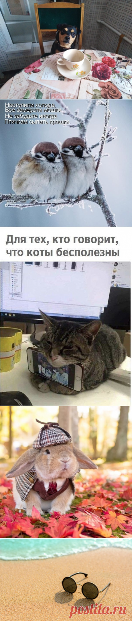 Галина Шапошникова
