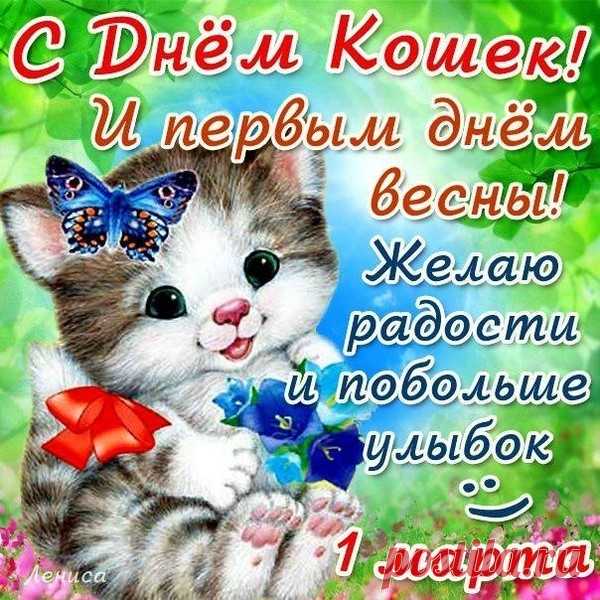 Всех любителей кошек поздравляем с днем этих прелестных и пушистых животных!