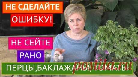 КОГДА САЖАТЬ НА РАССАДУ ТОМАТЫ, БАКЛАЖАНЫ И ПЕРЦЫ! РАССАДА 2021!