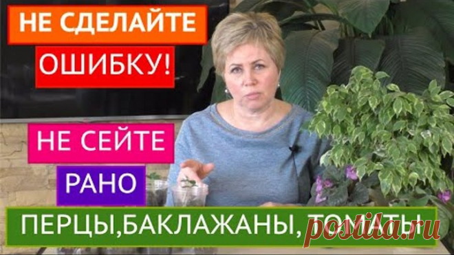 КОГДА САЖАТЬ НА РАССАДУ ТОМАТЫ, БАКЛАЖАНЫ И ПЕРЦЫ! РАССАДА 2021!
