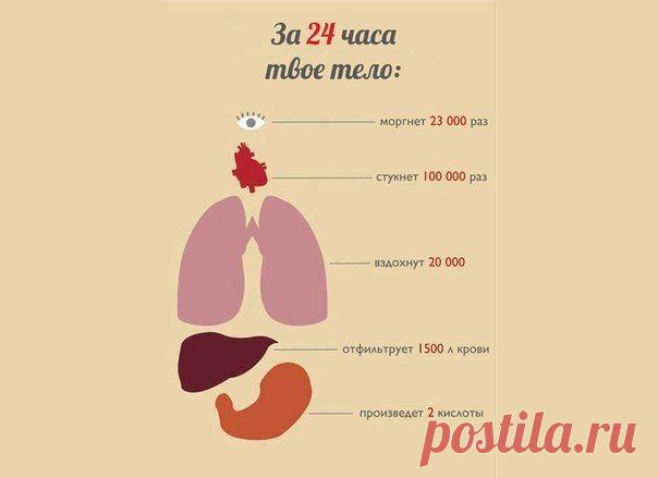 Занимательные факты и интересные фото