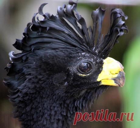 Новости, достойные внимания! — FiNE NEWS