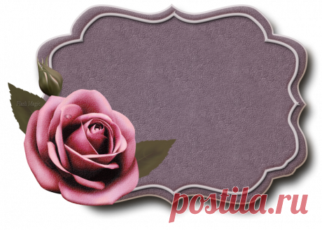 Яндекс.Фотки