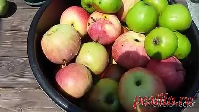 Яблочное пюре. Без сахара и консервантов.