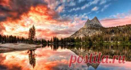 MSN Россия: новости, спорт, фото, видео