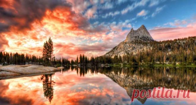 MSN Россия: новости, спорт, фото, видео