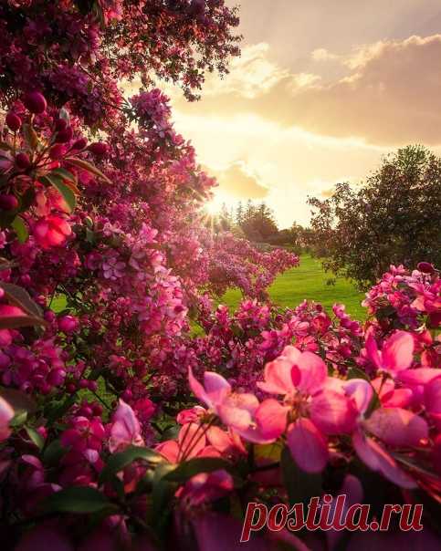 7 Апреля 2021 г. – Среда • Благовещение Пресвятой Богородицы • Всемирный день здоровья (World Health Day)71 год • День памяти погибших подводников32 года • День лёгкого пива (Session Beer Day) • День Подвига • Международный день бобра (International Beaver Day)12 лет • День рождения Рунета (День национального домена .RU)27 лет • День косметолога12 лет • День метрической системы (Metric System Day)226 лет • День государственных органов рыбоохраны РФ87 лет • День рождения регби198 лет •…