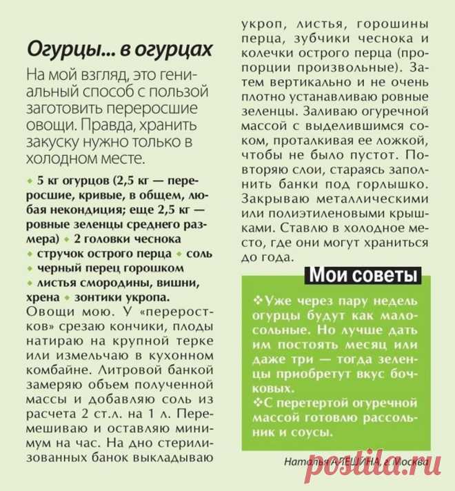 Огурцы... в переросших огурцах