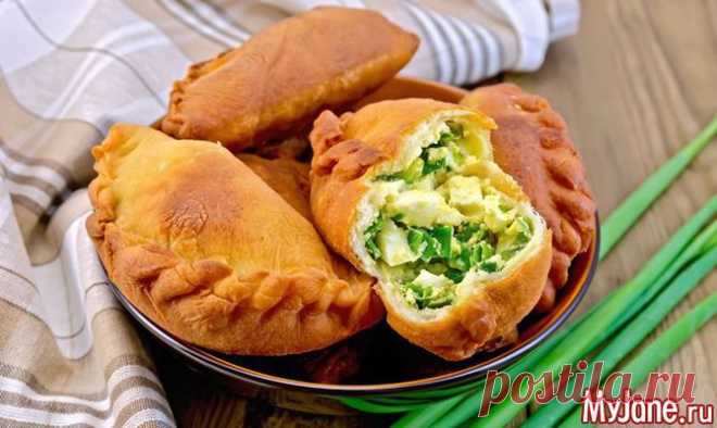 Пирожки от бабушки - Сочни с мясом,Чебуреки 
Вариант №1,Вариант №2, тесто для чебуреков ,Мясные слойки с гранатом,Слоеный рулет с капустой,Пирог-жюльен «Быстрый» (с грибами), Курник.