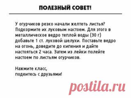 НА ЗАМЕТКУ!