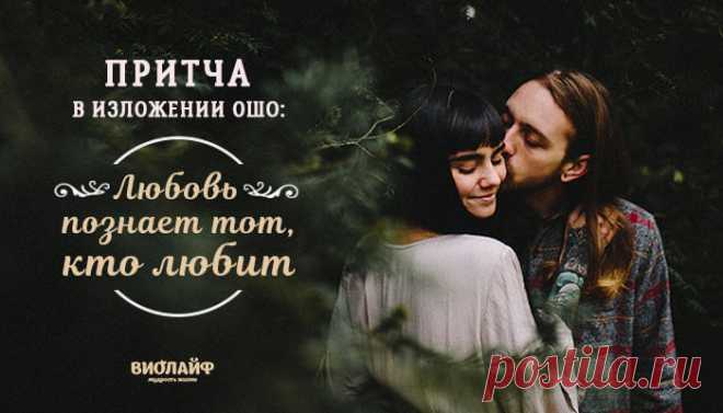 Притча в изложении Ошо: Любовь познает тот, кто любит
Одного из величайших поэтов Индии Рабиндраната Тагора часто ставил в неловкое положение...
Читай дальше на сайте. Жми подробнее ➡