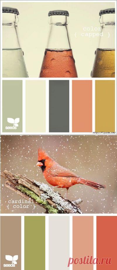 гармония цвета - Самое интересное в блогах