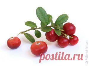 МОЯ МАМА ТРАВНИЦЕЙ БЫЛА И СВОЙ ОПЫТ МНЕ ПЕРЕДАЛА | Советы Народной Мудрости