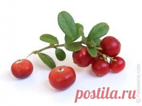 МОЯ МАМА ТРАВНИЦЕЙ БЫЛА И СВОЙ ОПЫТ МНЕ ПЕРЕДАЛА | Советы Народной Мудрости