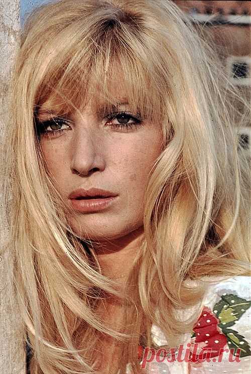 Моника Витти