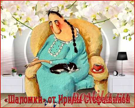 «Шаломки» от Ирины Стефашиной. Анекдоты Симы Моисеевны. | Поэт Ирина Стефашина | Яндекс Дзен