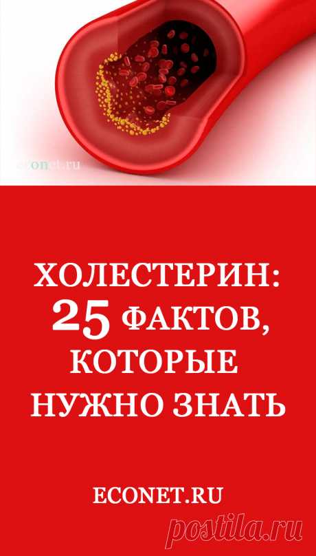 25 фактов, которые нужно знать. Холестерин Если вы считаете что холестерин – это вредное вещество, которое содержится в жирных продуктах и вызывает различные заболевания, то эта статья для вас.