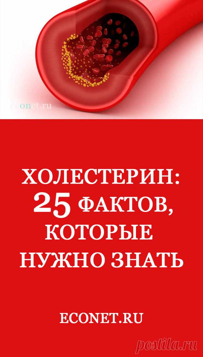 25 фактов, которые нужно знать. Холестерин Если вы считаете что холестерин – это вредное вещество, которое содержится в жирных продуктах и вызывает различные заболевания, то эта статья для вас.