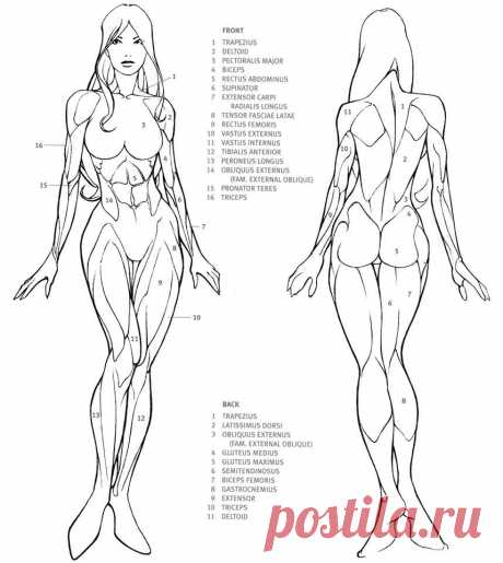 5225548f152d57bde1a88907a92d67bd.jpg (858×960)