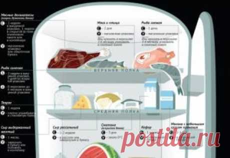Как хранить продукты в холодильнике. Инфографика - МирТесен