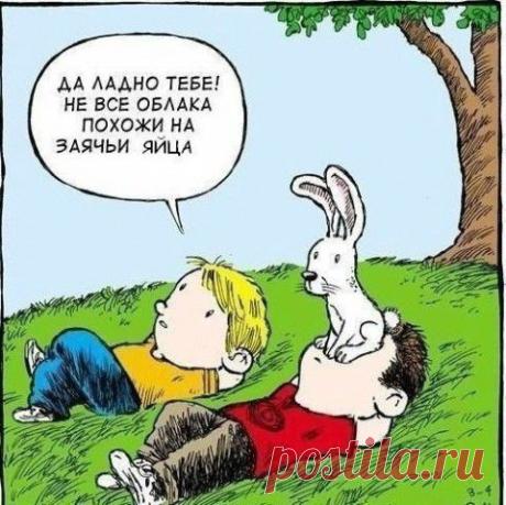 Закон и Порядок. Защитим себя сами!