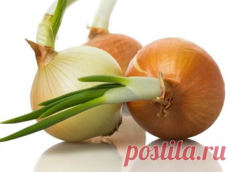 Отличный рецепт из лука для снижения сахара в крови! Уже несколько лет сахар в норме! - Народная медицина - медиаплатформа МирТесен